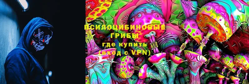 Галлюциногенные грибы Magic Shrooms  Грязовец 